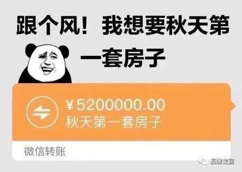 奶茶爆料采访视频文案,独家采访视频揭秘幕后故事