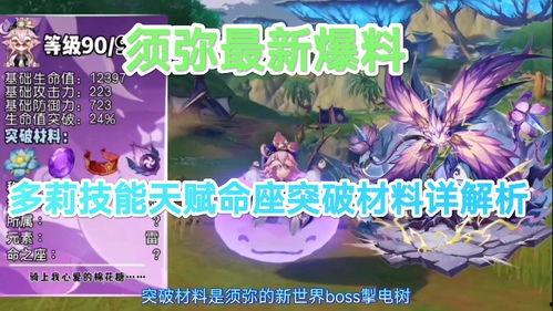 须弥技能爆料大全最新,揭秘神秘力量，探索无尽奥秘